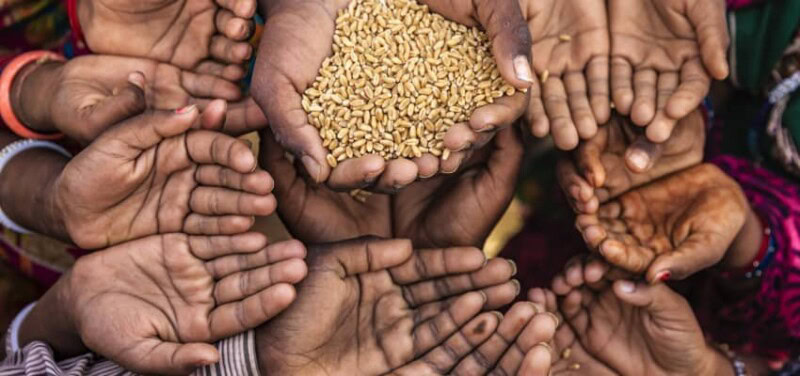 Global Hunger Index 2019: Pakistan’s rating improves, India falls behind