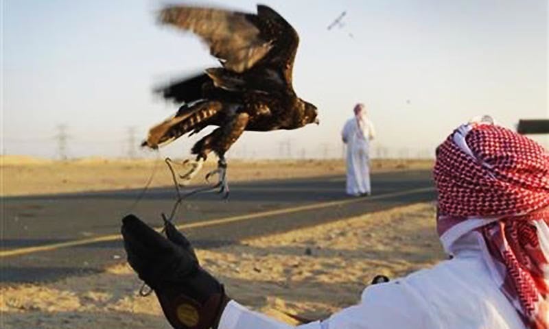 Pakistan: Qatari royals among seven arrested for hunting without license