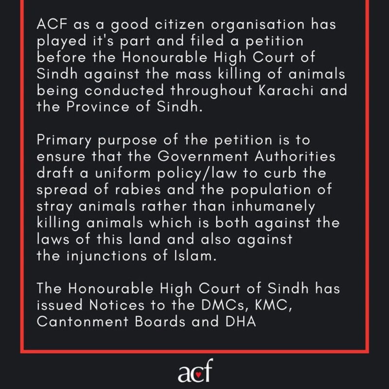 Founder of ACF Animal Rescue shares harrowing story of animal abuse in ...