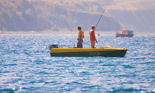 Fisherman survives after live fish slips into his throat