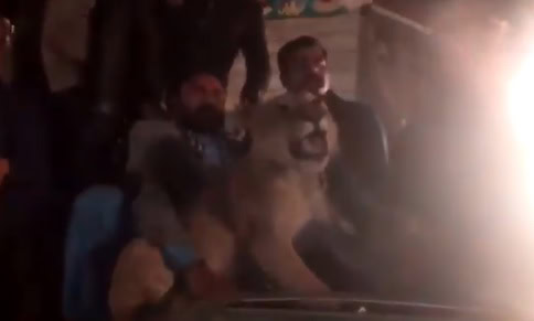 Lion manhandled during Maryam Nawaz’s rally rescued by Punjab Wildlife Dept