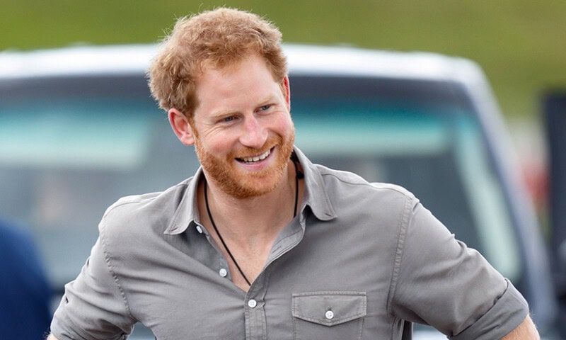 Harry gets another job as ‘disinformation’ officer