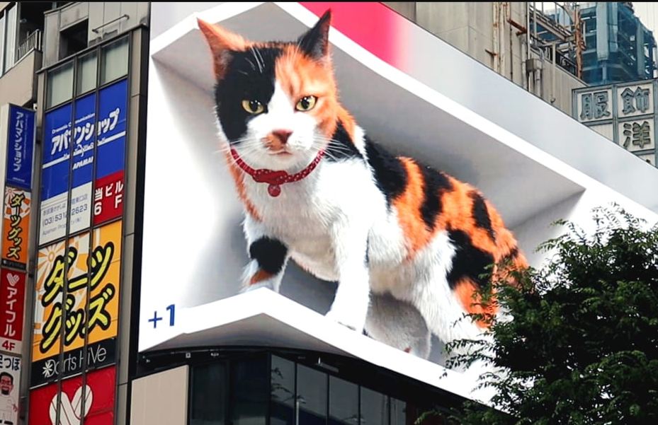 Giant 3D cat installed in Tokyo to 'cheer people up during the coronavirus pandemic'
