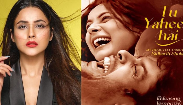 Zara Noor, Areeba Habib cheer Shehnaaz Gill ahead of her tribute song for Sidharth Shukla’s release