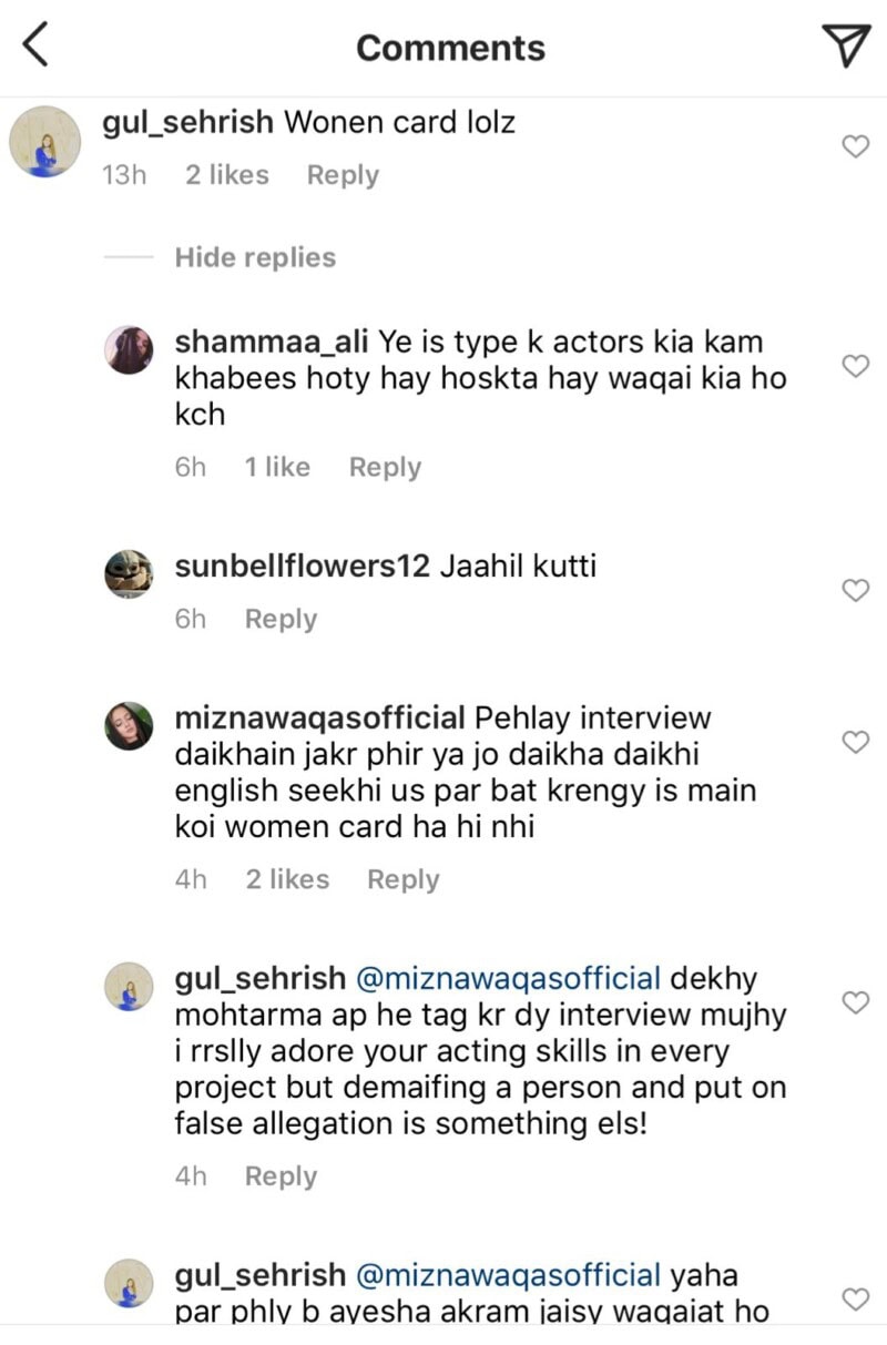 Mizna Waqas claps back at abusive trolls after candid confession