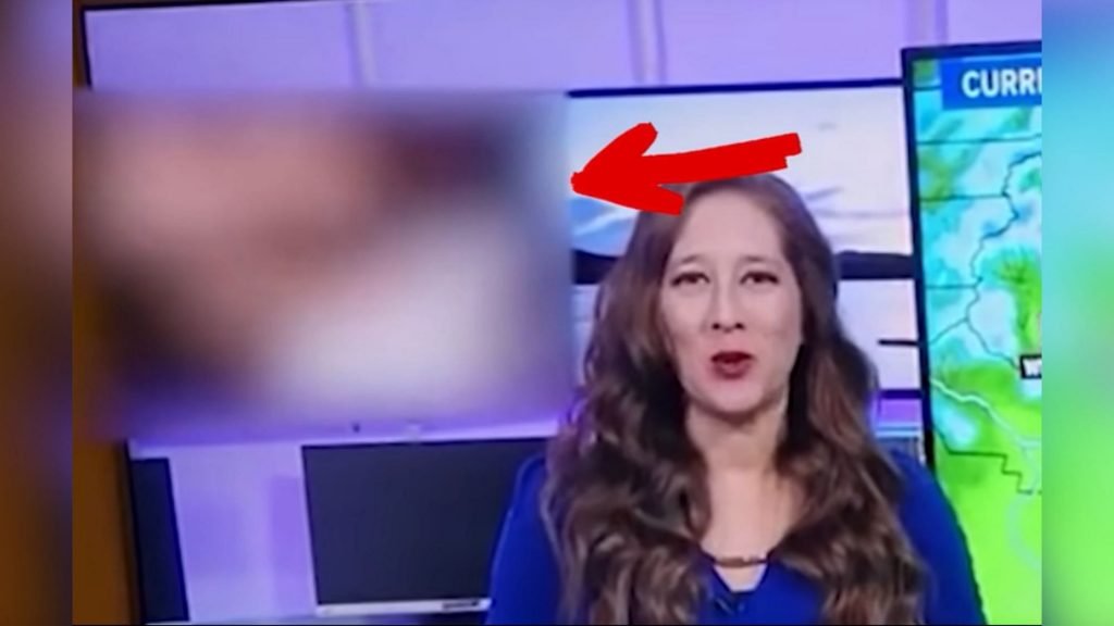 News - News channel accidentally airs porn video during weather report - The  Current