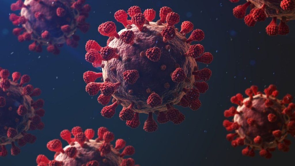 New strain of Coronavirus detected in France, investigation underway