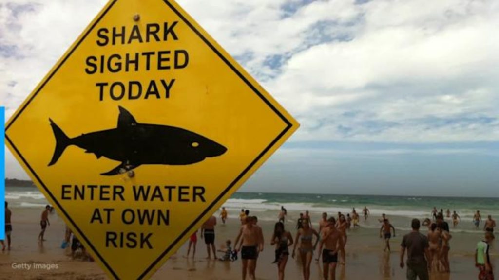 Swimmer dies in fatal shark attack