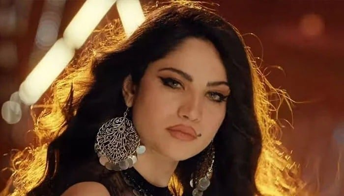 'Right or wrong?': Neelam Muneer reveals screenshot of a private message