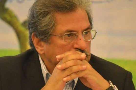 Shafqat Mahmood resigns as Punjab PTI president because of ‘health issues’