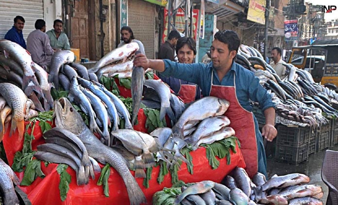 '90% of fish consumed in Pakistan is unfit for human consumption': WWF