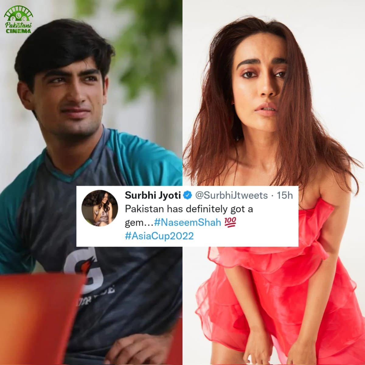 Pakistani Cinema on Twitter: 