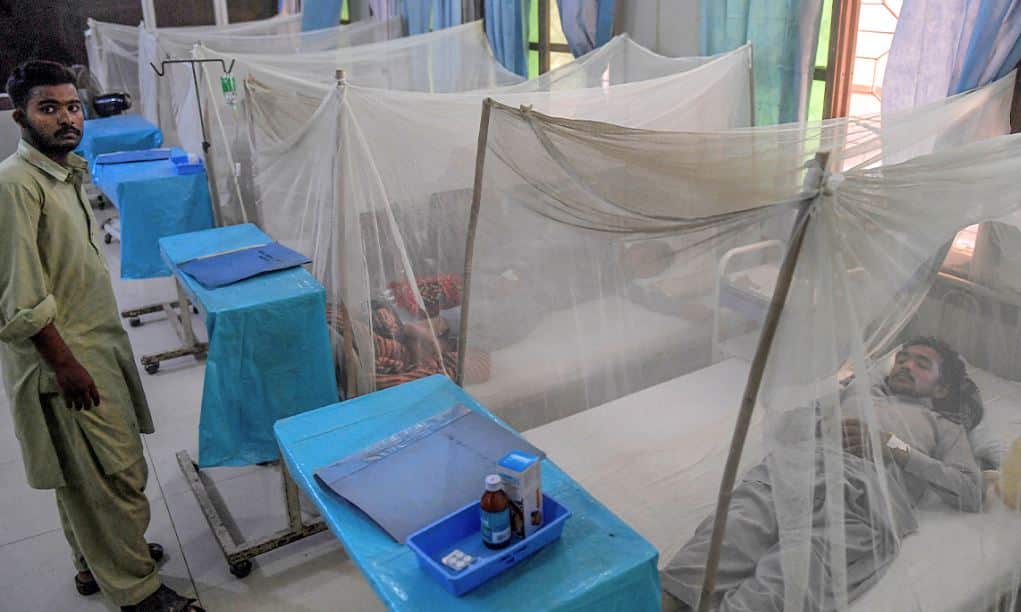 Sharp rise in Dengue cases in Karachi