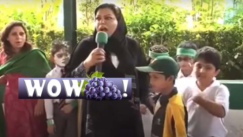 Pakistan’s iconic ‘wow grape’ meme to be sold as NFT
