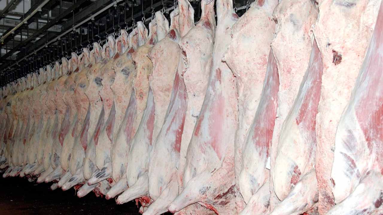 PFA seizes 1,600 kg outdated meat and expired edibles during a raid in Lahore