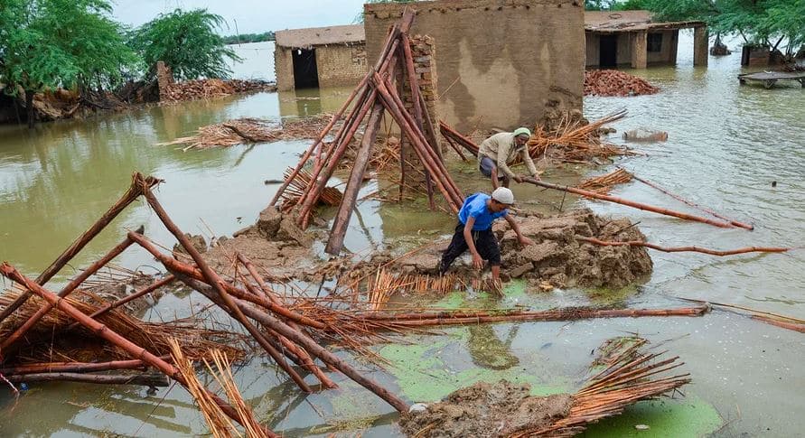 Flood update: UN passes resolution urging countries to support rehabilitation efforts