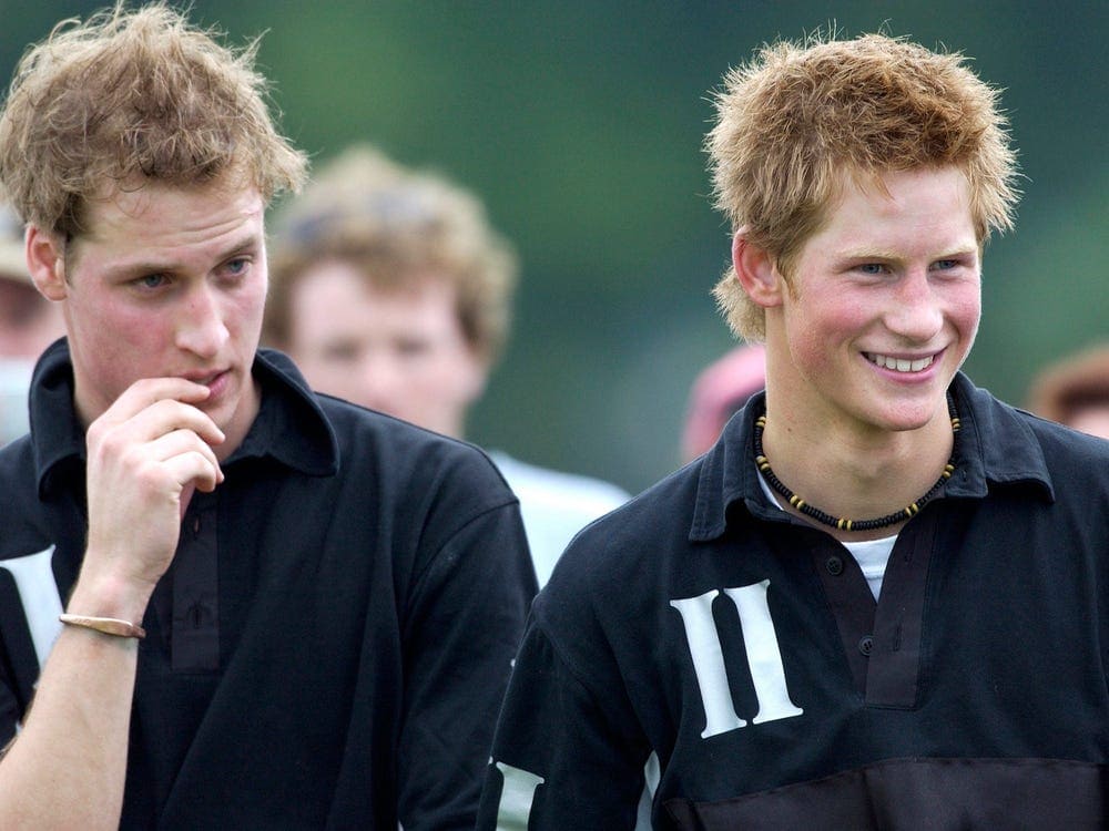 Wildest Things Prince Harry Said About Prince William in 'Spare'