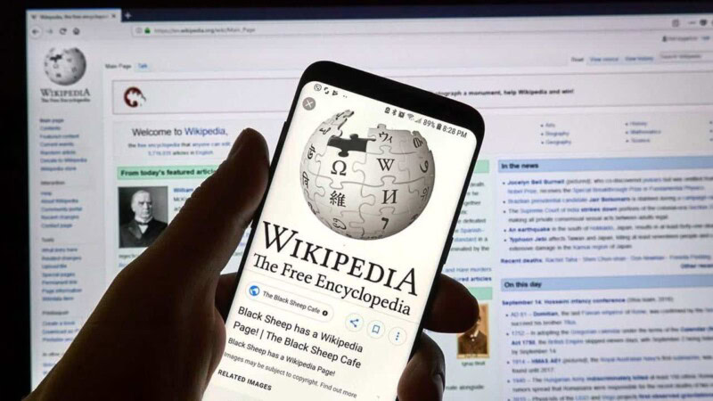 ‘How we find new ways to embarrass ourselves internationally’: Twitter not happy with Wikipedia ban