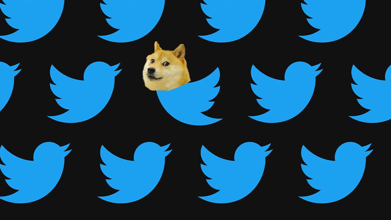 twitter logo change doge