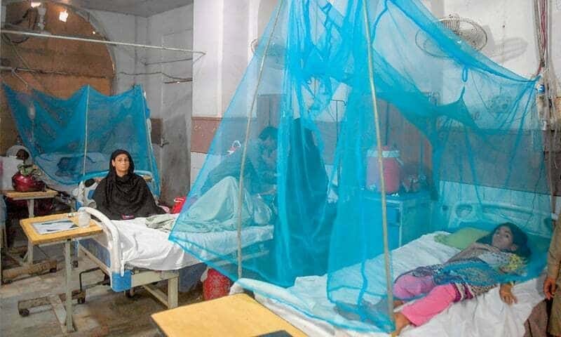Pakistan sees sharp increase in Malaria cases - The Current