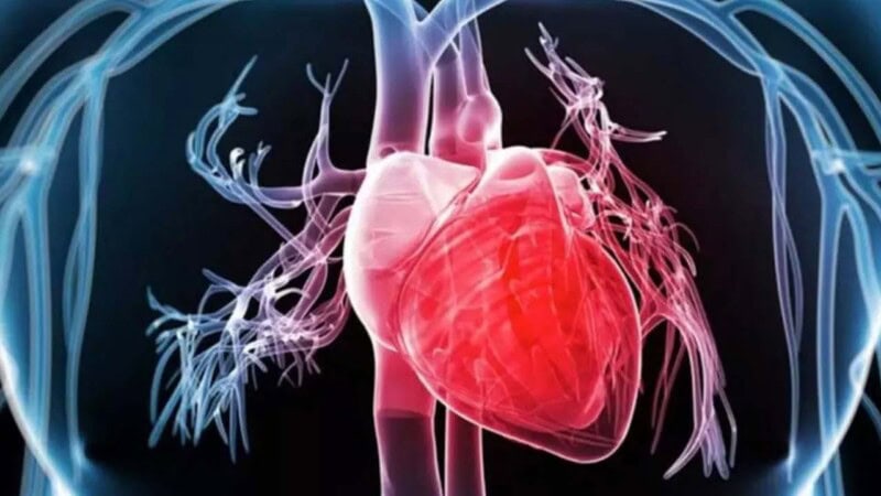 Latest AI-powered artery scan can predict heart attack risks years before symptoms appear