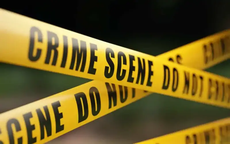 Two brothers confess murdering younger sister