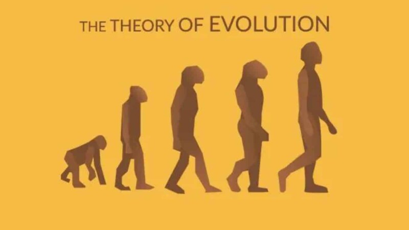 Bannu professor forced to apologise publicly for teaching Darwin’s theory of evolution