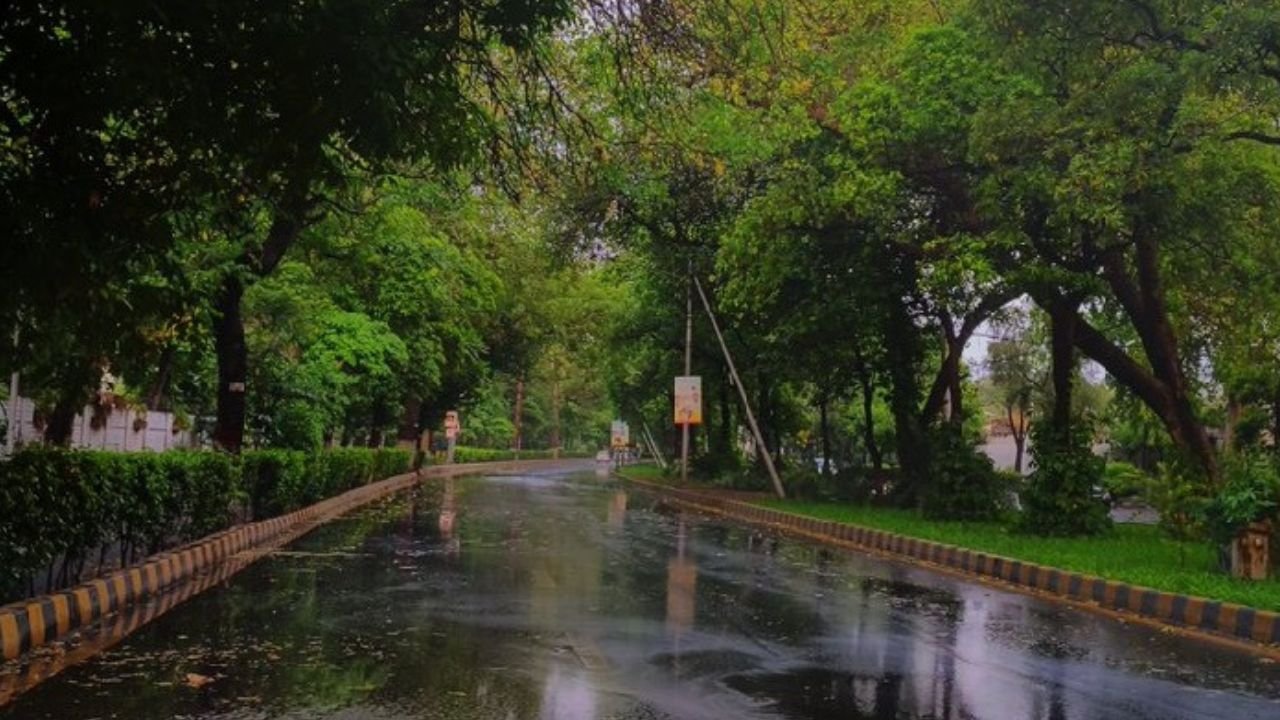 Punjab govt aborts smart lockdown plan after rain improves air quality