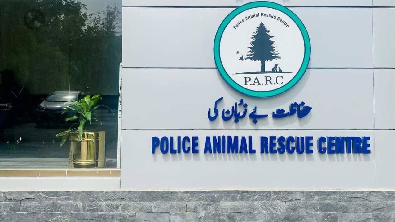 Punjab Police to launch Pet Park in Lahore