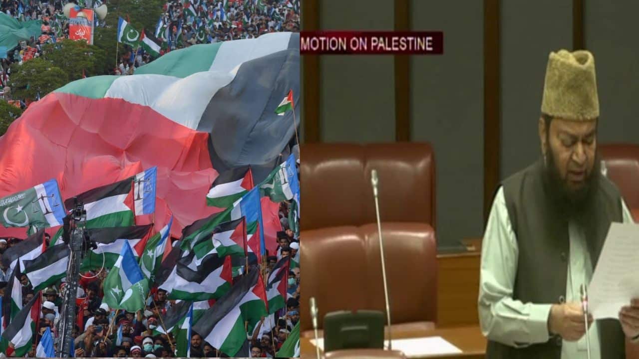 Senate of Pakistan stands with the people of Gaza, demands immediate ceasefire