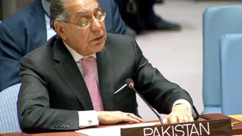 Pakistani Ambassador at UN lauded for Palestine resolution speech
