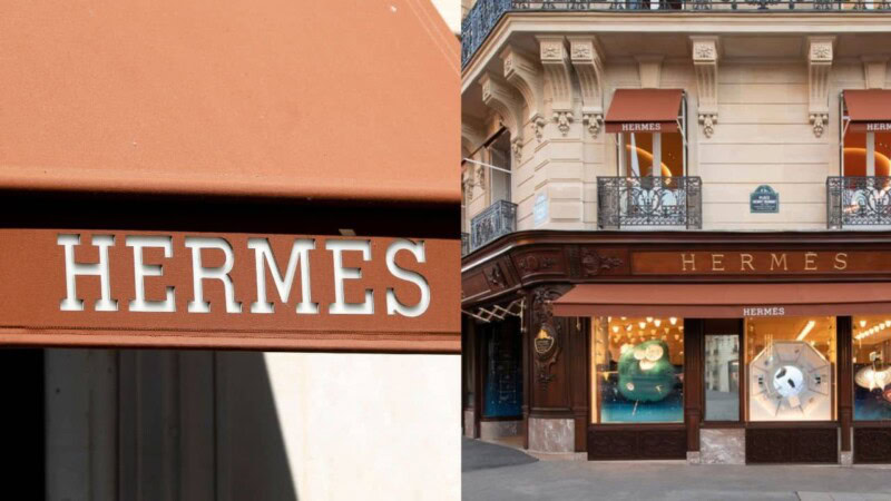 Rags to riches: Luxury brand Hermès heir plans to give seven billion dollars to gardner