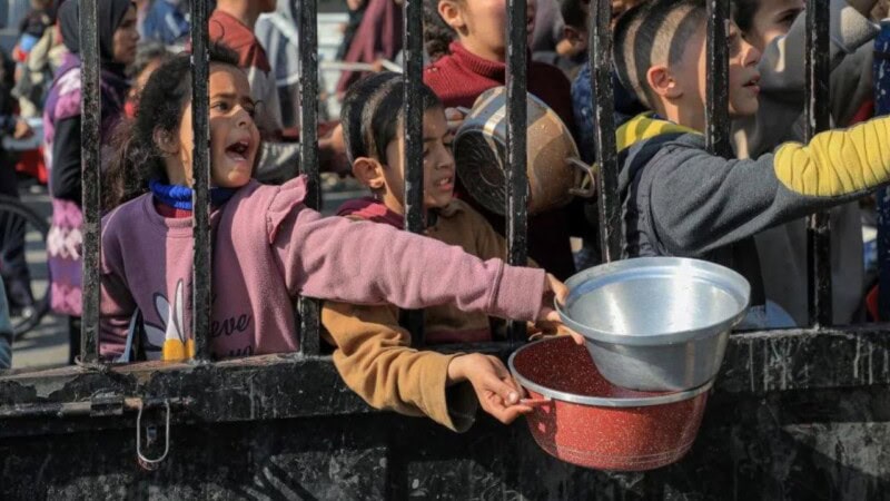 Rotten food and cat hunting as famine hits Gaza