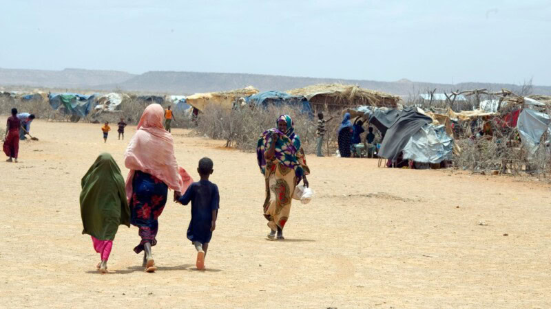 UN migration agency needs $7.9 billion in 2024