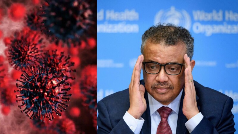 World must be ready to fight ‘disease X’ : WHO