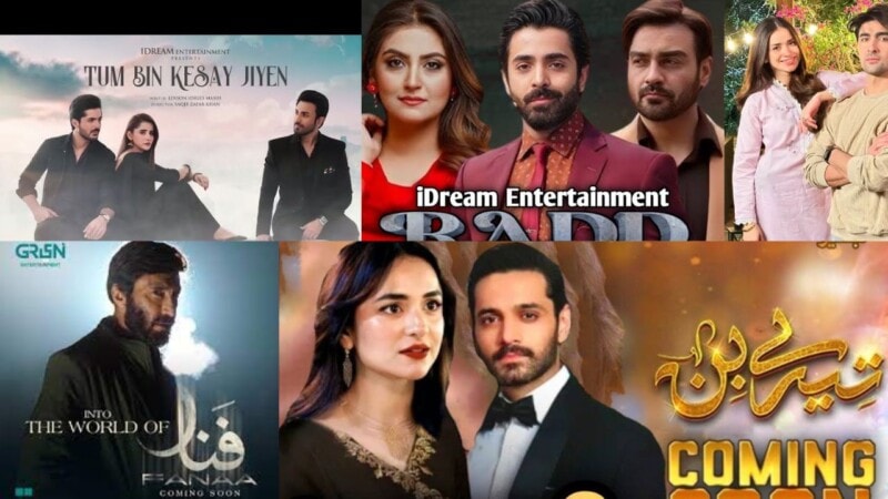 Most awaited dramas of 2024