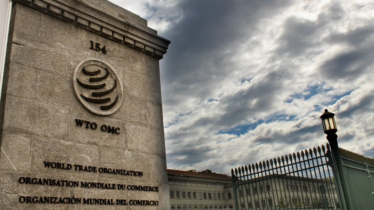 WTO launches $50m fund for female entrepreneurs in developing world