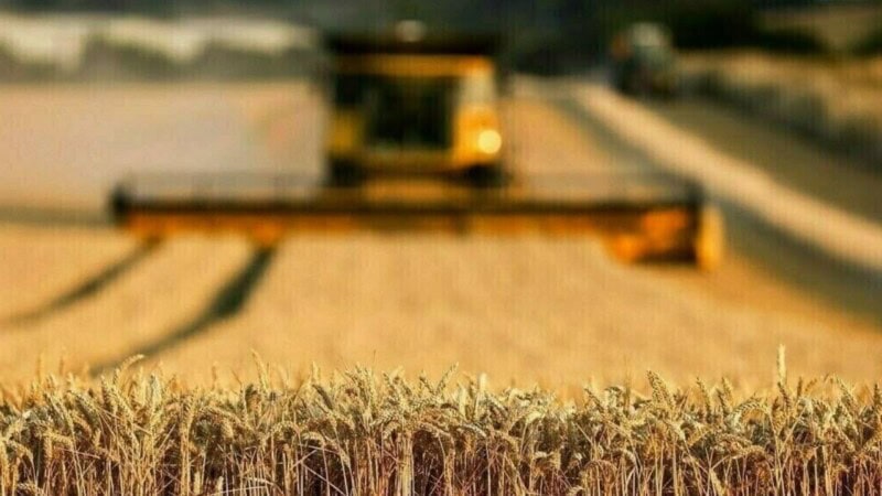 Pakistan facing 30 percent water shortage for sowing season