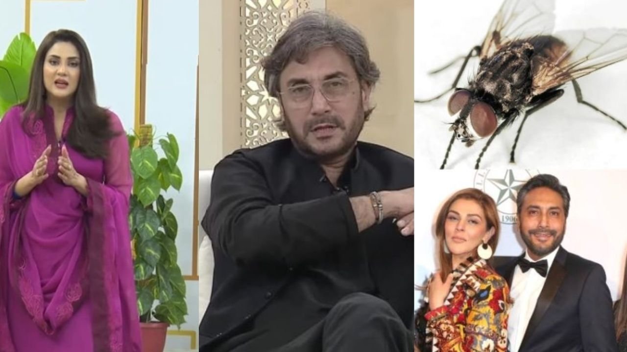 Fiza Ali criticizes Adnan Siddiqui for fly comment as KRQ supports him