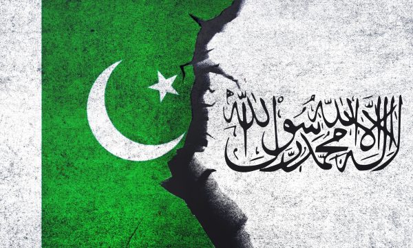 Two TTP terrorists killed in Punjab while crossing over from KP