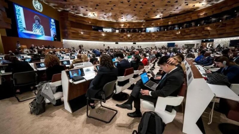 Countries vote to give Palestinians more rights at WHO