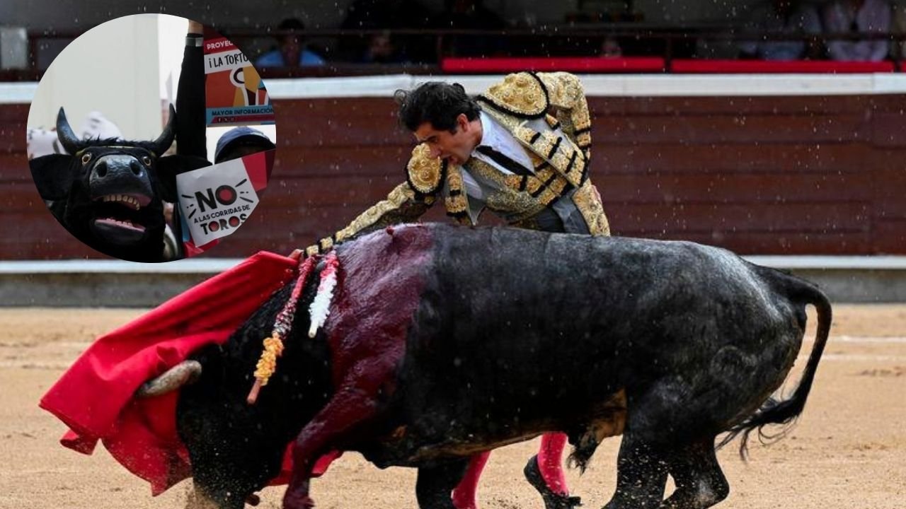 bullfighting