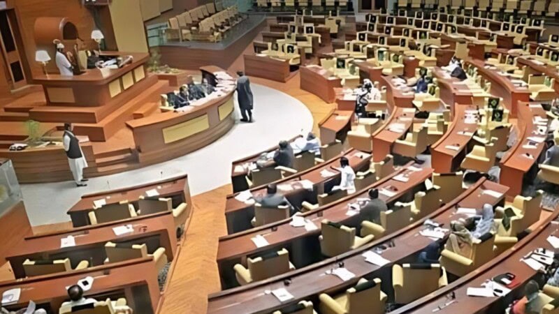 Motion to expel illegal immigrants from Sindh passes unanimously