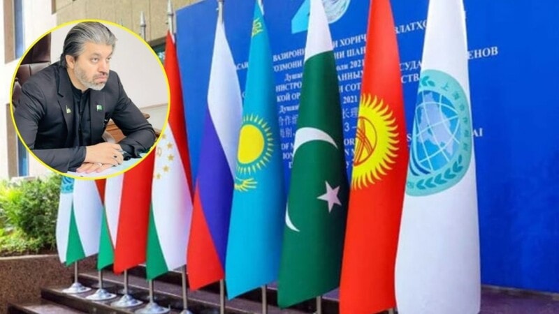 PTI’s Ali Muhammad Khan urges party to call off protest for SCO summit