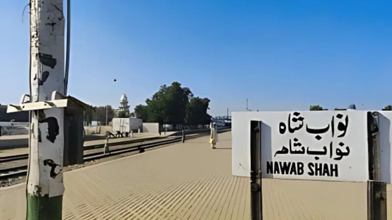 Mother slits twin sons’ throats for ‘crying too much’