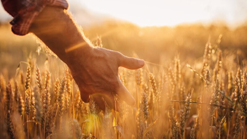 Farmers demand action as costs soar, profits plummet