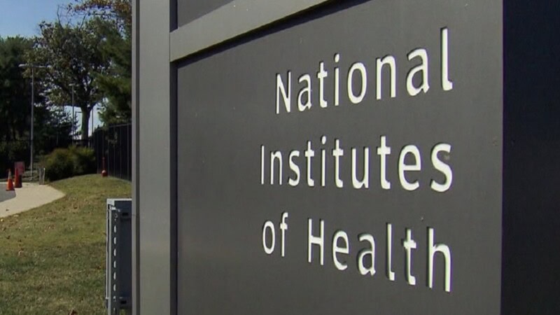 Research Corruption at NIH and the Challenges of Health Institutions’ Transparency