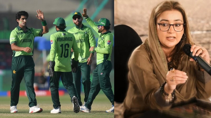 ‘Even I can hit a six’: Azma Bokhari mocks Pakistan team after NZ loss