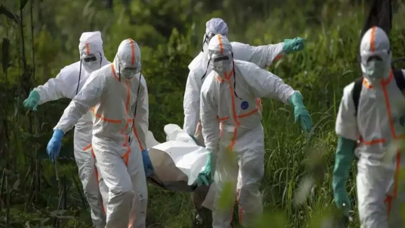 Mysterious disease in Congo killing patients within 48 hours