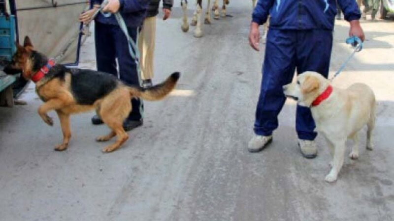 Pet dog helps police in solving owner’s murder
